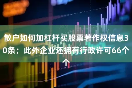 散户如何加杠杆买股票著作权信息30条；此外企业还拥有行政许可66个