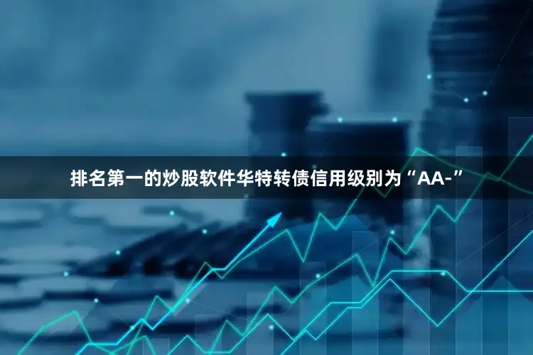 排名第一的炒股软件华特转债信用级别为“AA-”