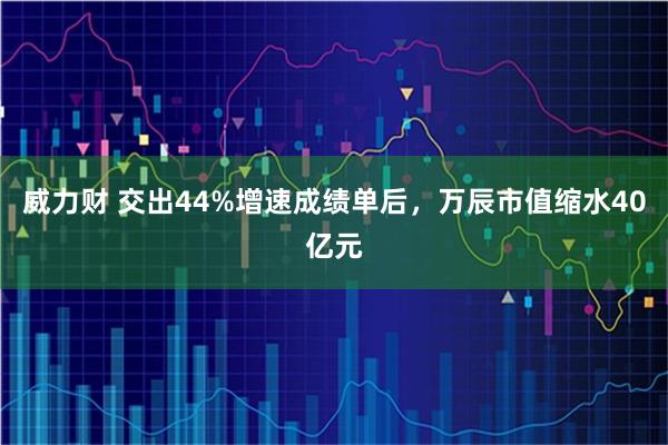 威力财 交出44%增速成绩单后，万辰市值缩水40亿元