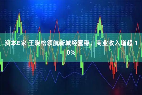 资本E家 王晓松领航新城经营稳，商业收入增超 10%