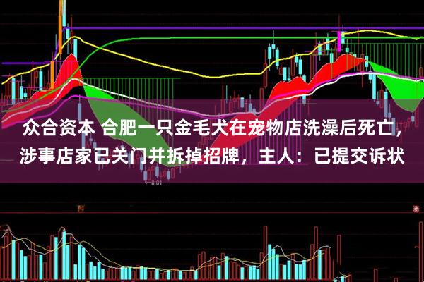 众合资本 合肥一只金毛犬在宠物店洗澡后死亡，涉事店家已关门并拆掉招牌，主人：已提交诉状