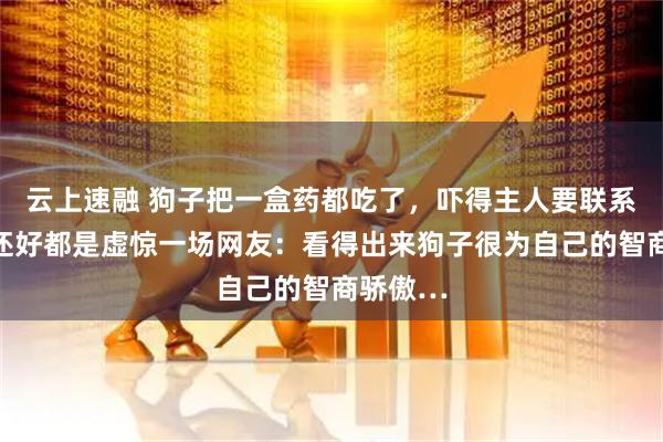 云上速融 狗子把一盒药都吃了，吓得主人要联系医院，还好都是虚惊一场网友：看得出来狗子很为自己的智商骄傲…