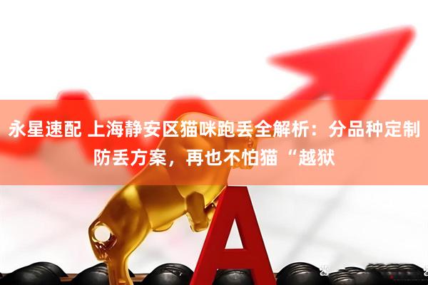 永星速配 上海静安区猫咪跑丢全解析：分品种定制防丢方案，再也不怕猫 “越狱